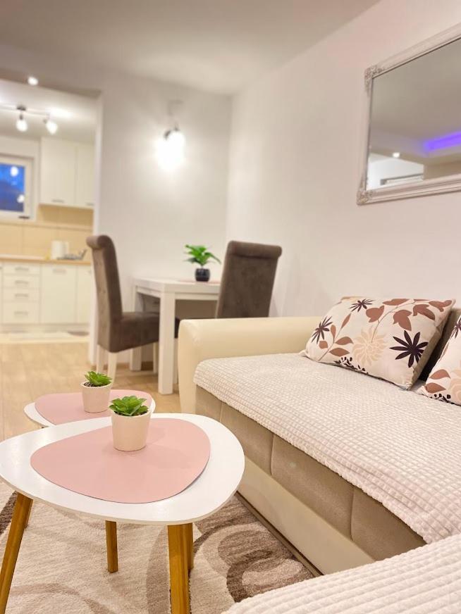 Apartman Mina Mataruska Banja Eksteriør bilde