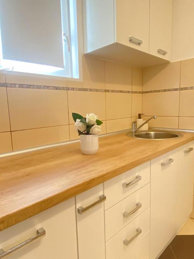 Apartman Mina Mataruska Banja Eksteriør bilde